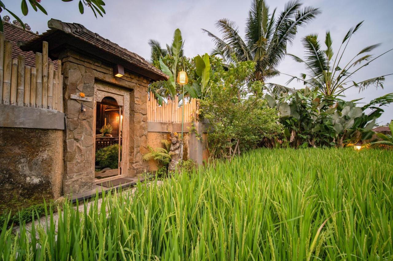 Villa Nini Ubud Eksteriør billede