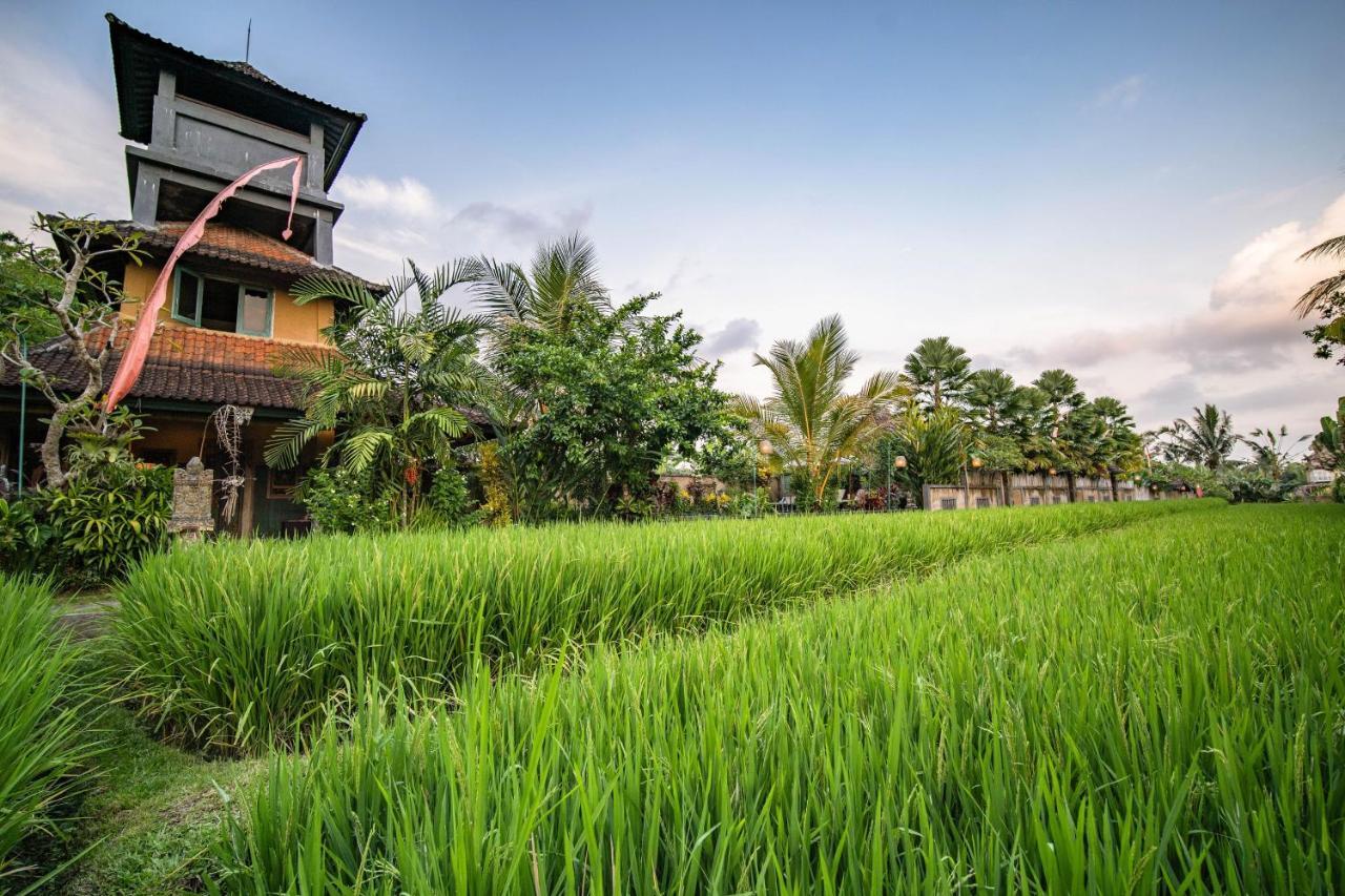 Villa Nini Ubud Eksteriør billede
